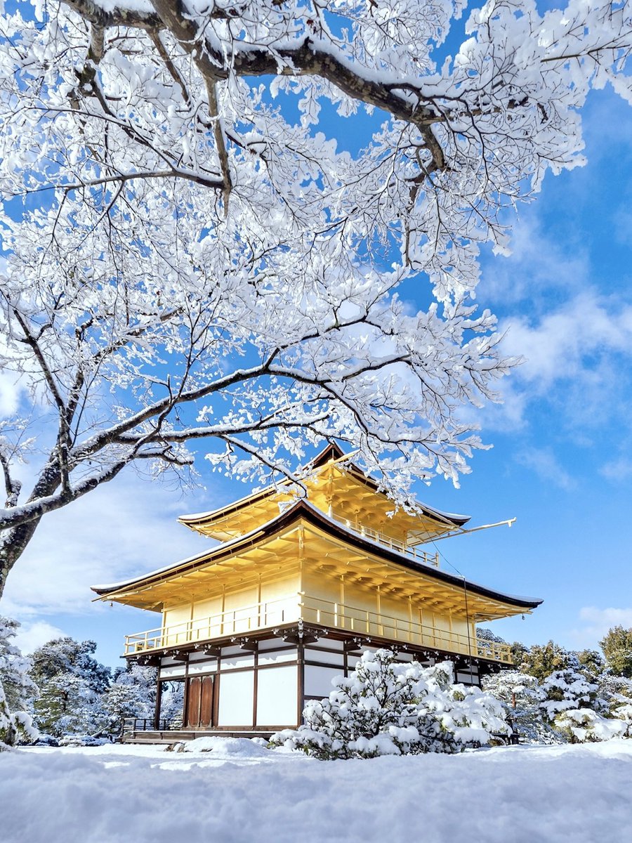 抜けるような青空と雪の金閣寺