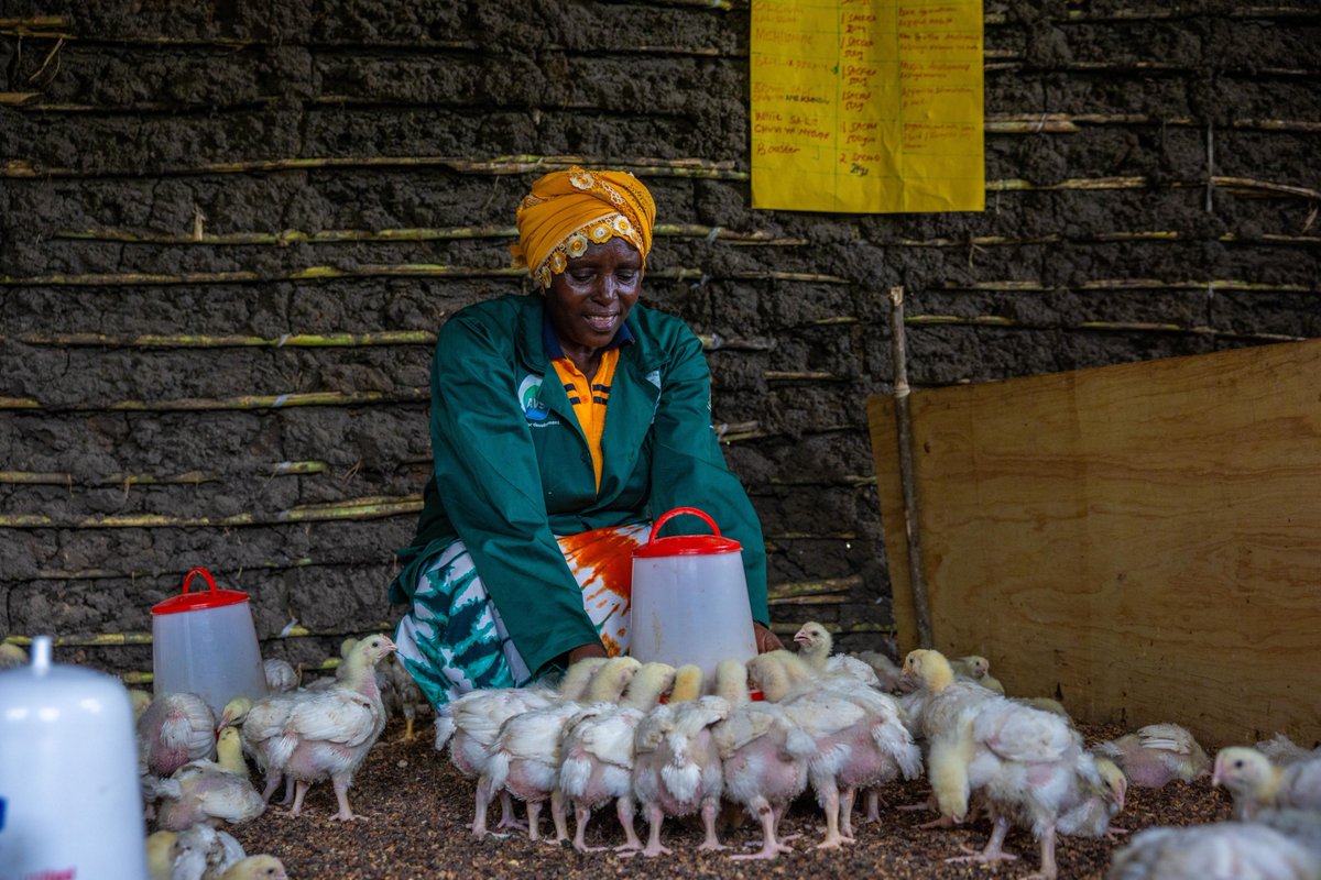 AVSIUganda's tweet photo. 500+ youth &amp; women gained employable skills in #horticulture &amp; #poultry value chains, unlocking access to decent &amp; market-relevant work through the #WeWorkUG Project implemented by @FondazioneAVSI
@EUinUG @BelgiumInUganda @EnabelinUganda in Kabarole &amp; Kyegegwa Districts 🇺🇬 https://t.co/bIk9Vq4pZI