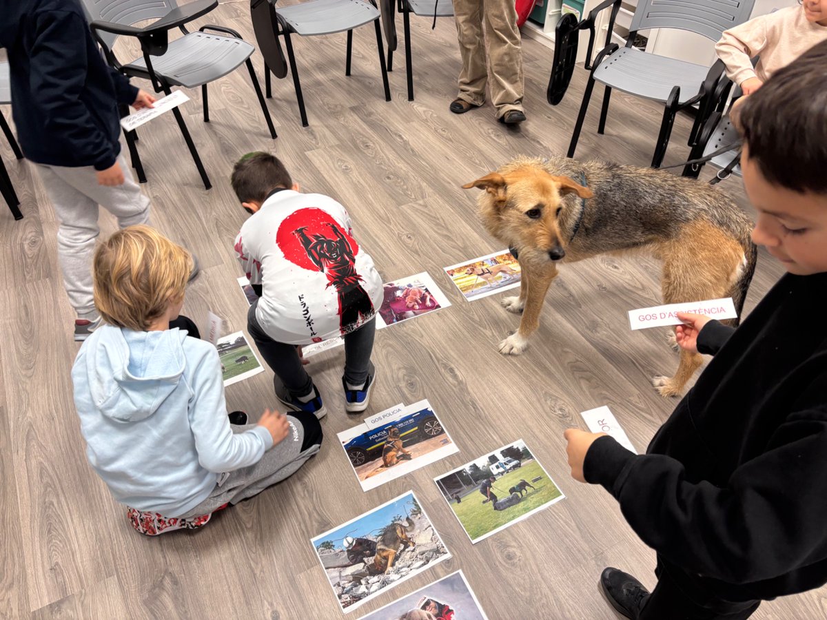 Dani Matallín tweet media