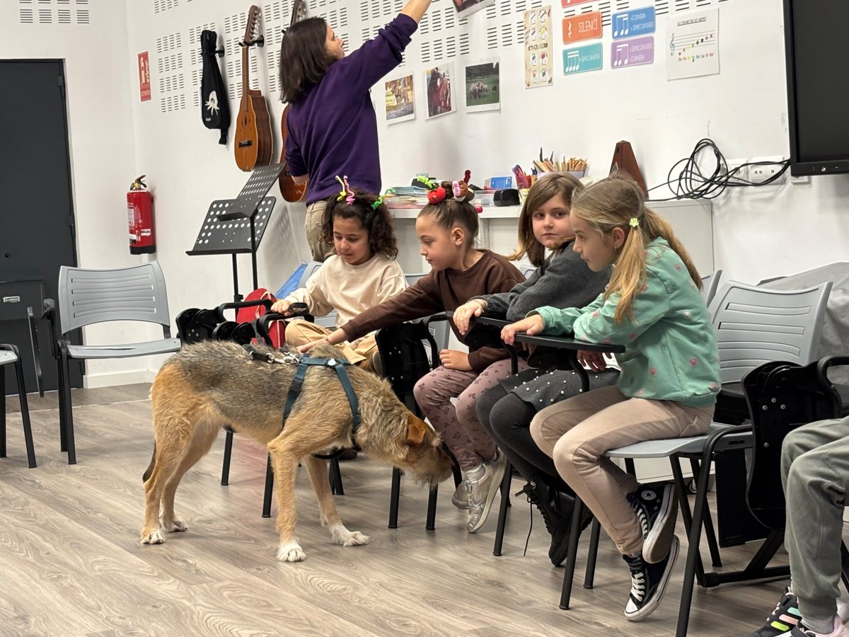 Dani Matallín tweet media