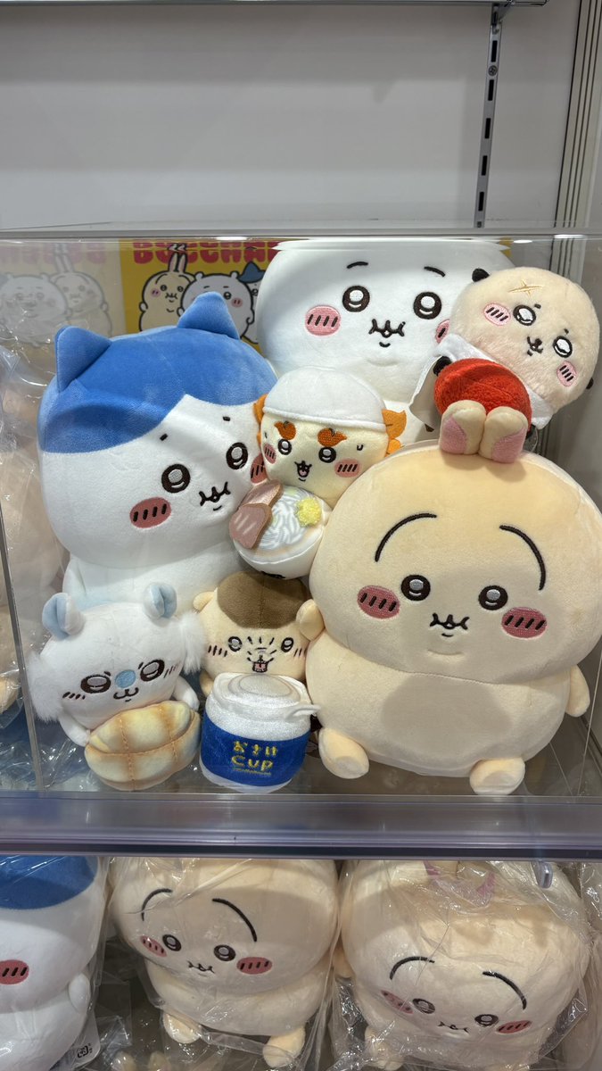 にゃっ太 (@427neko2) / Posts / X