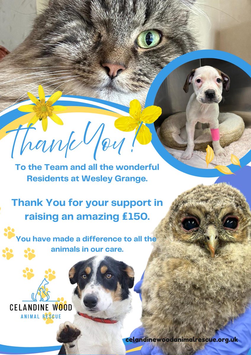 Wirral Methodist Hsg tweet media