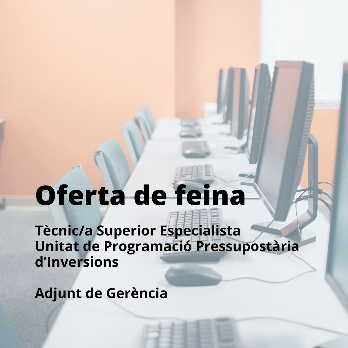 Busquem Tècnic/a Superior Especialista per a la Unitat de Programació Pressupostària d'Inversions de l' <a href="/aigua_cat/">ACA</a> a Barcelona.
Retribució: 37.662,52 euros bruta/any.
Requisits: Grau en Economia/ADE i C1 de català.
Termini: 24/02/2026.
Info: acanet.gencat.cat/geco/curriculu…