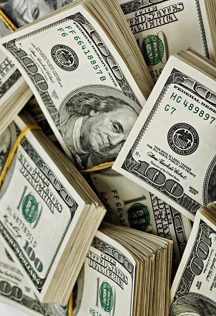 Bull Theory tweet media