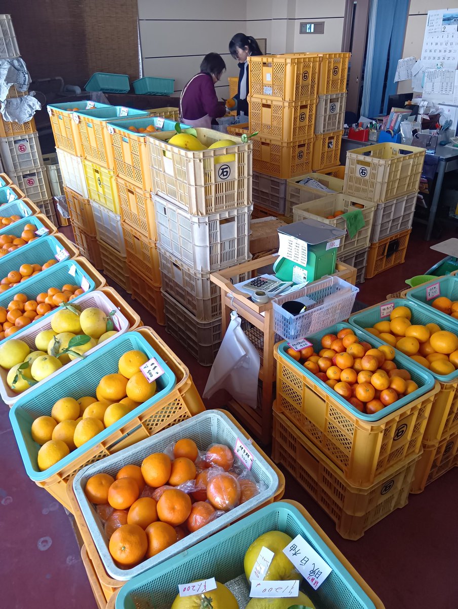 蜜柑 OR 0x2aa3c671265d9a6cb8a1282bdacf4e728f794444)