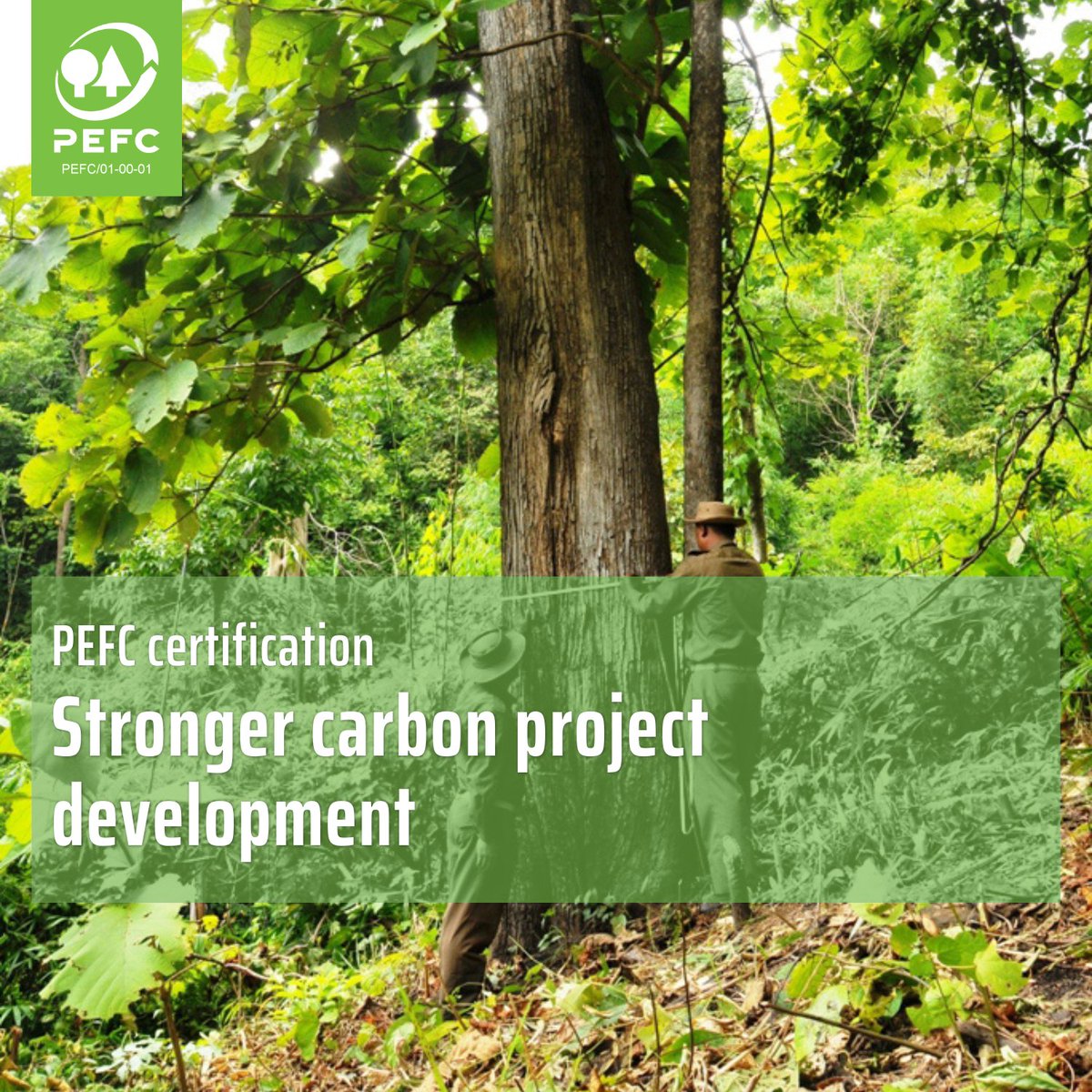 PEFC International tweet media