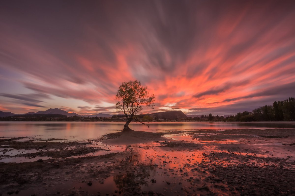 Larryn Rae 🏔️✨ tweet media