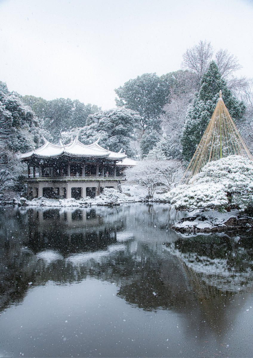 haskap1017's tweet image. 雪の日の新宿御苑が美しかったです
