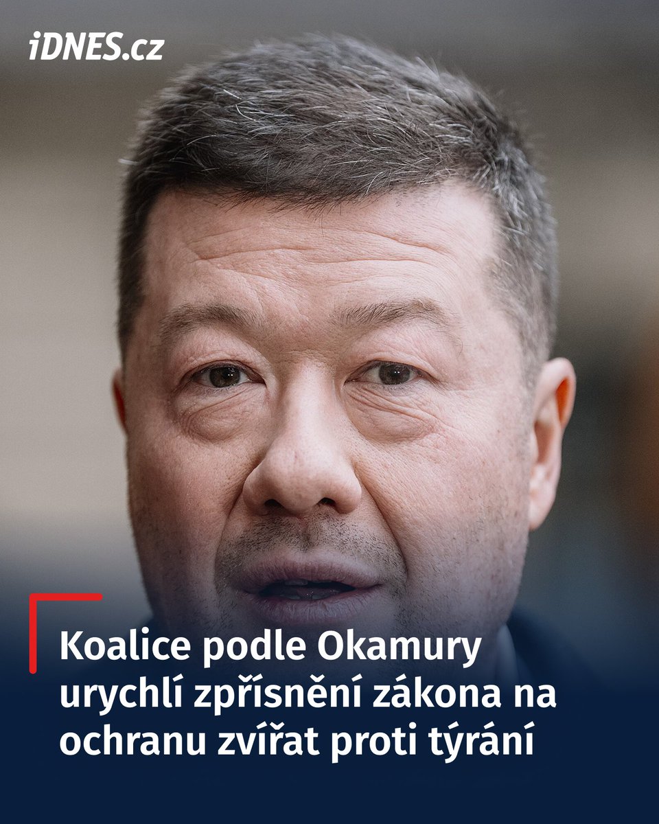iDNES.cz tweet media