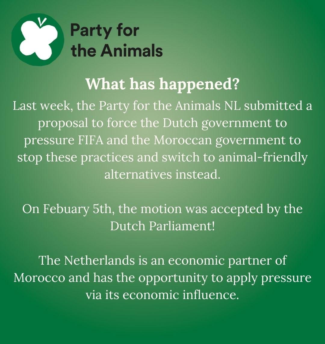 Animal Politics Foundation - Party for the Animals tweet media