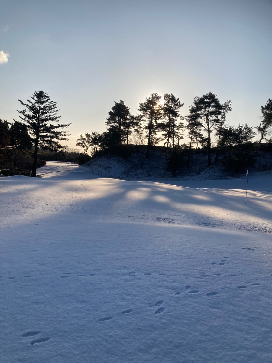 今日の朝。

寒すぎ。。。