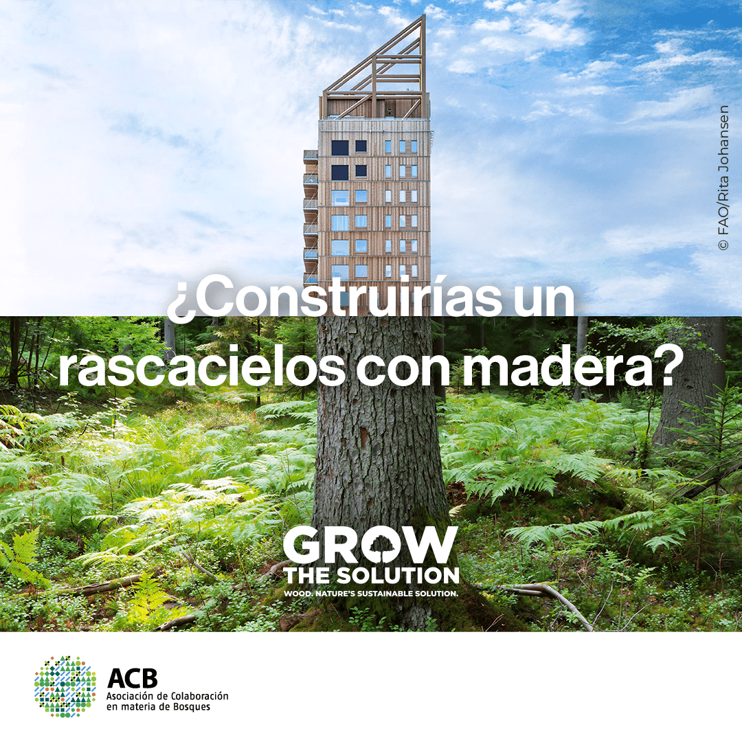 FSC España tweet media