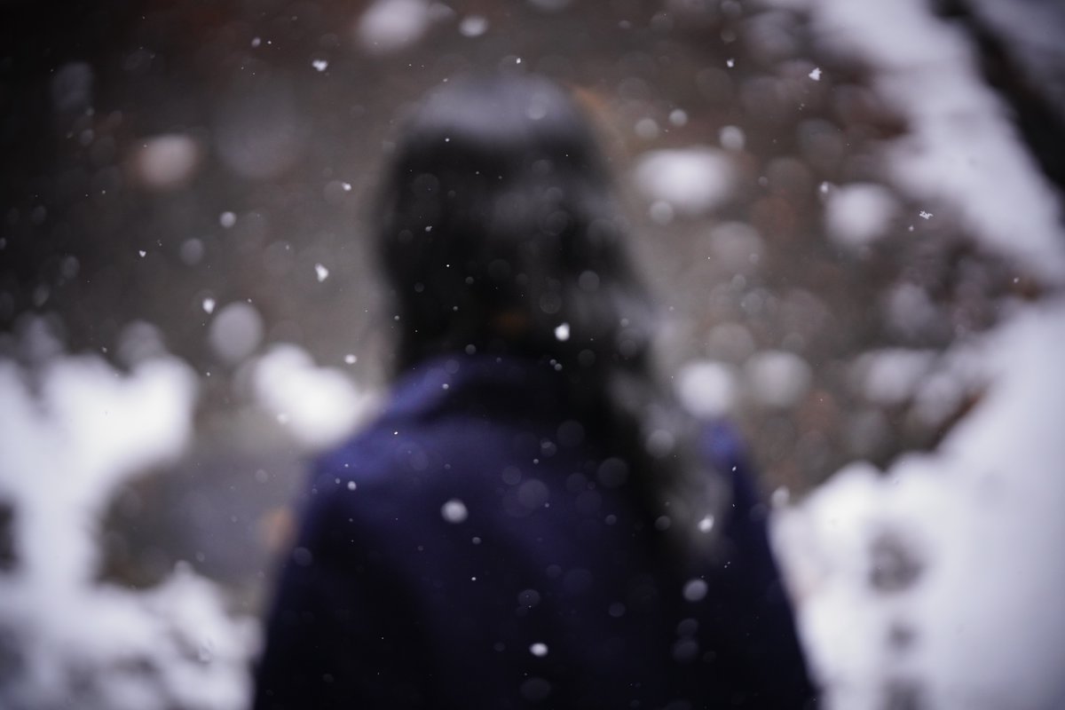 ぺぇ汰。 tweet media