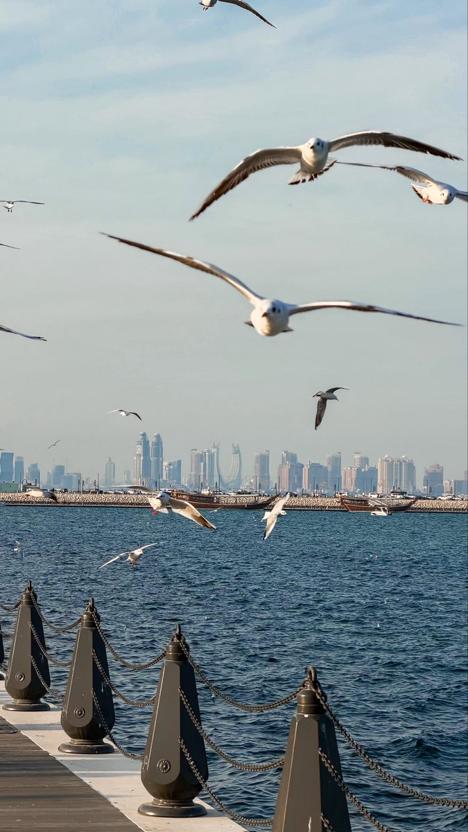 A973s's tweet photo. يا بخت من له حبيب يداري خاطره .. https://t.co/chVcmeDXyV