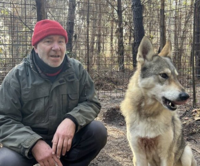 HopeMediaFR's tweet image. 🇫🇷Un parc animalier en Gironde se mobilise depuis plusieurs semaines pour accueillir et soigner 19 chiens retirés pour maltraitance. 

Sans subvention publique, l’équipe s’appuie sur la solidarité pour assurer leur prise en charge, leur rééducation et leur offrir un nouveau…