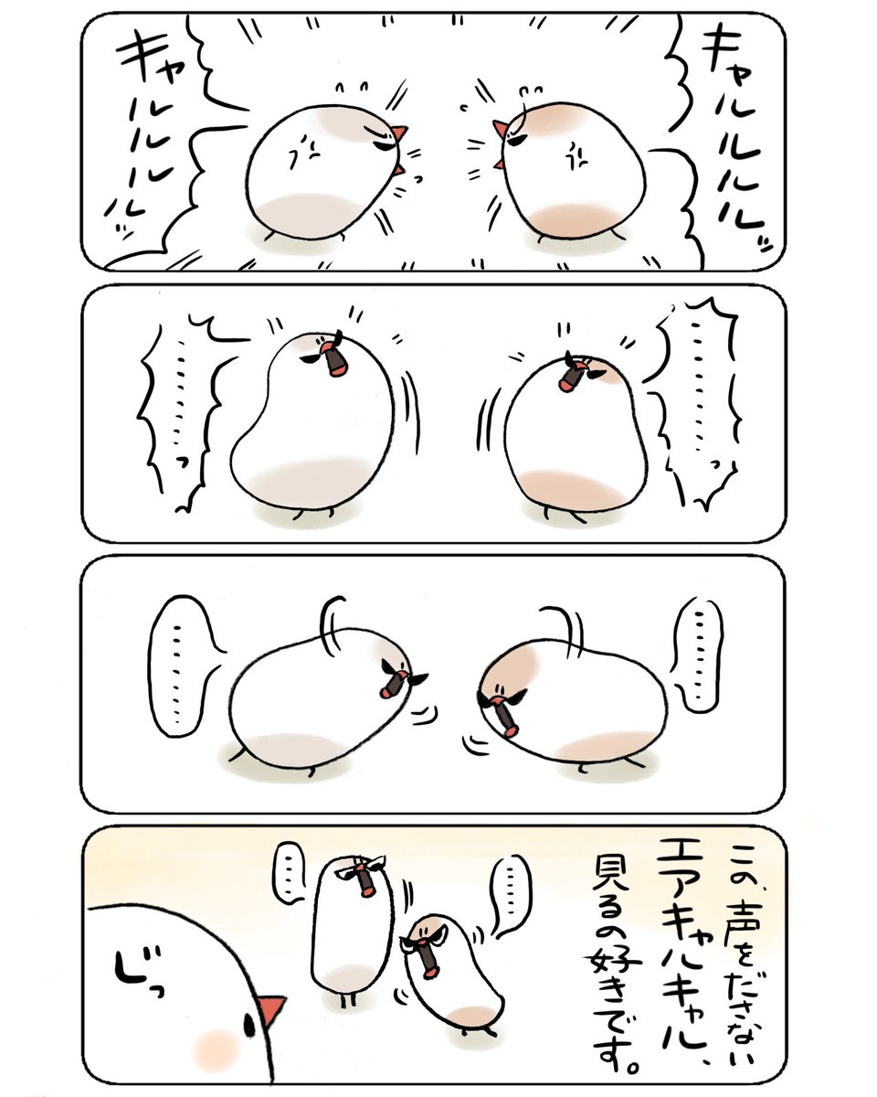 我が家のちゃむむむ日記
『エアキャルキャル』 