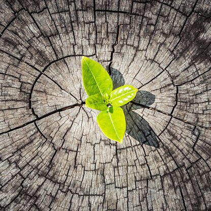 Design_hub's tweet image. #creativity  fuels powerful brands.
 Let’s make this week count!

designhubconsult.com

#CreativeBusiness #DesignHubltd #MondayMotivation #Brands #NairobiKenya