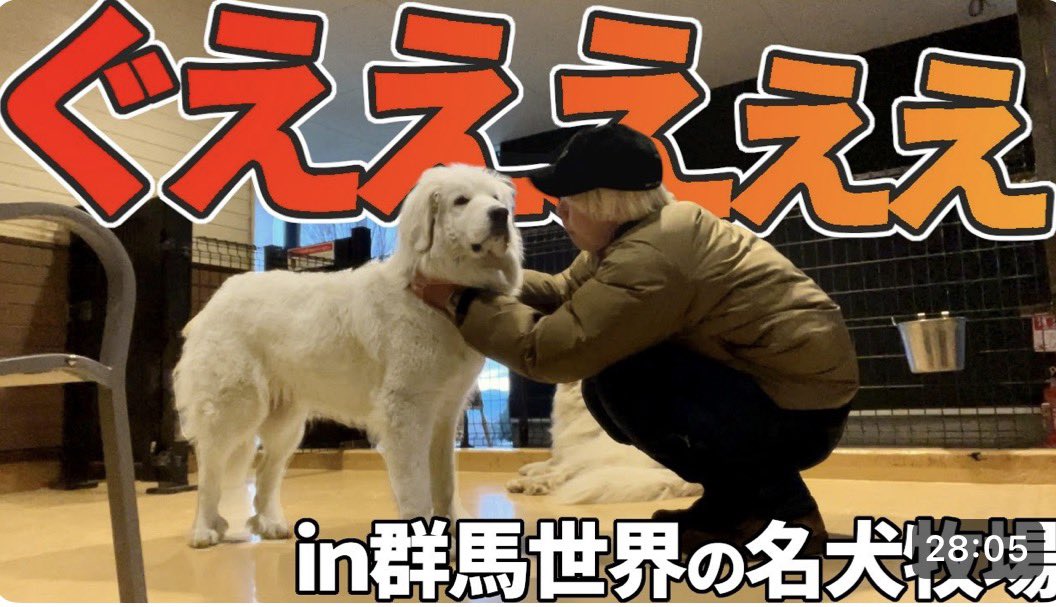 新しい動画ができました！ めっちゃ可愛い〜〜〜〜〜〜〜！！！！！！！！！！

最高！！！世界の名犬牧場とレトロ自販機｜真冬の北関東バイク旅【2日目・後編】
youtu.be/3FzLusWqRa4