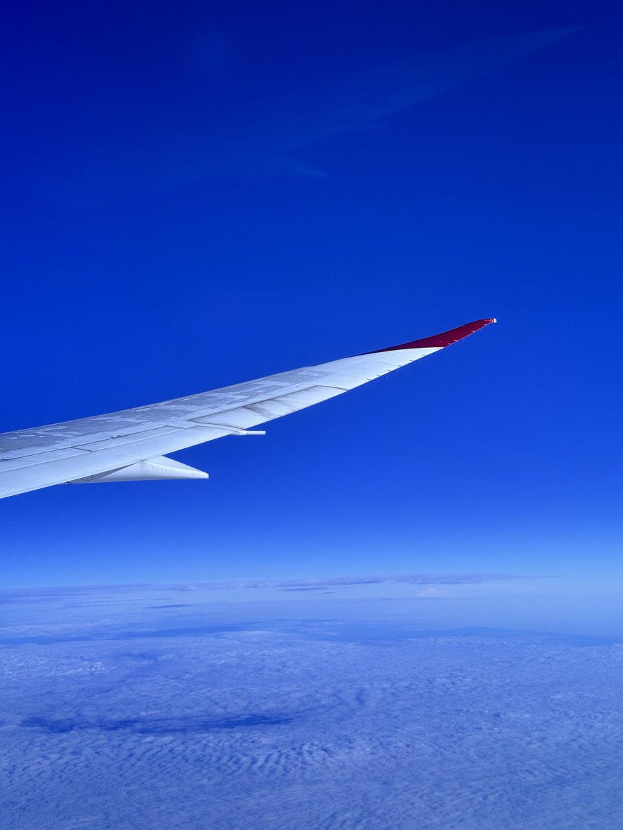 orkward ☄︎ tweet media