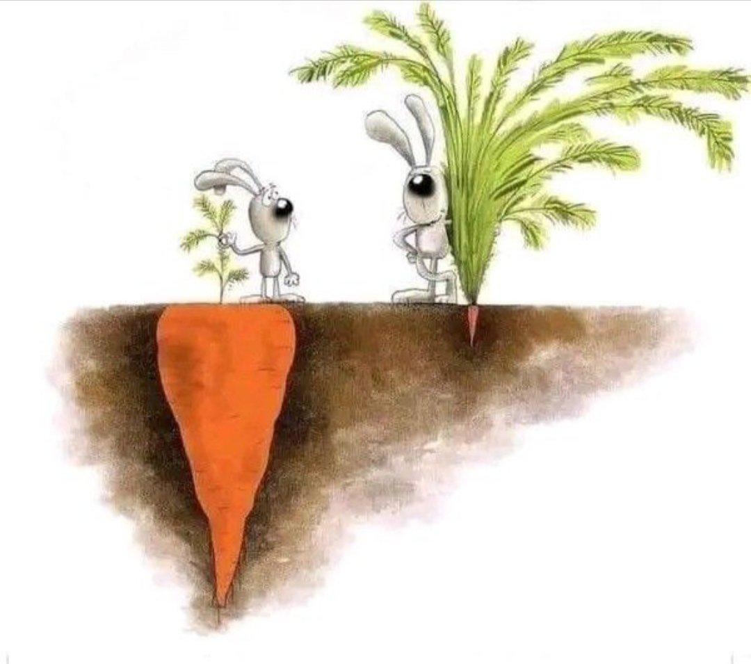 ayaserenat's tweet photo. "Sizin hayır bildiklerinizde şer, şer bildiklerinizde hayır vardır. Allah bilir, siz bilemezsiniz."  

|Bakara 216 https://t.co/vUSYaIvw6l
