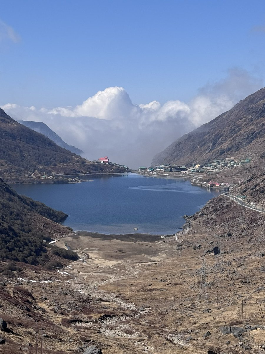 RoninGuy.ron tweet media