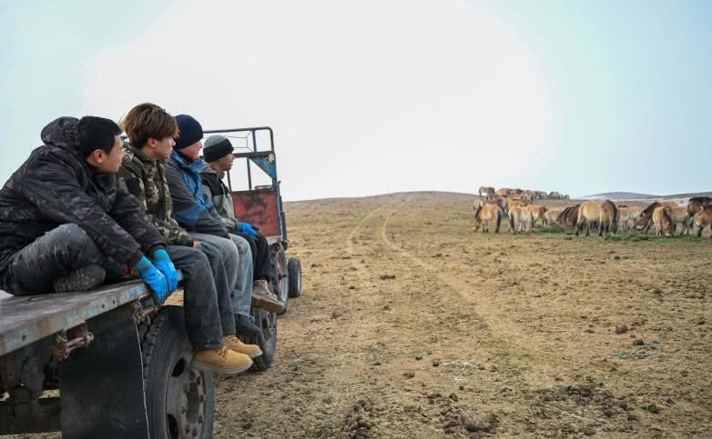 الخط الأخضر tweet media