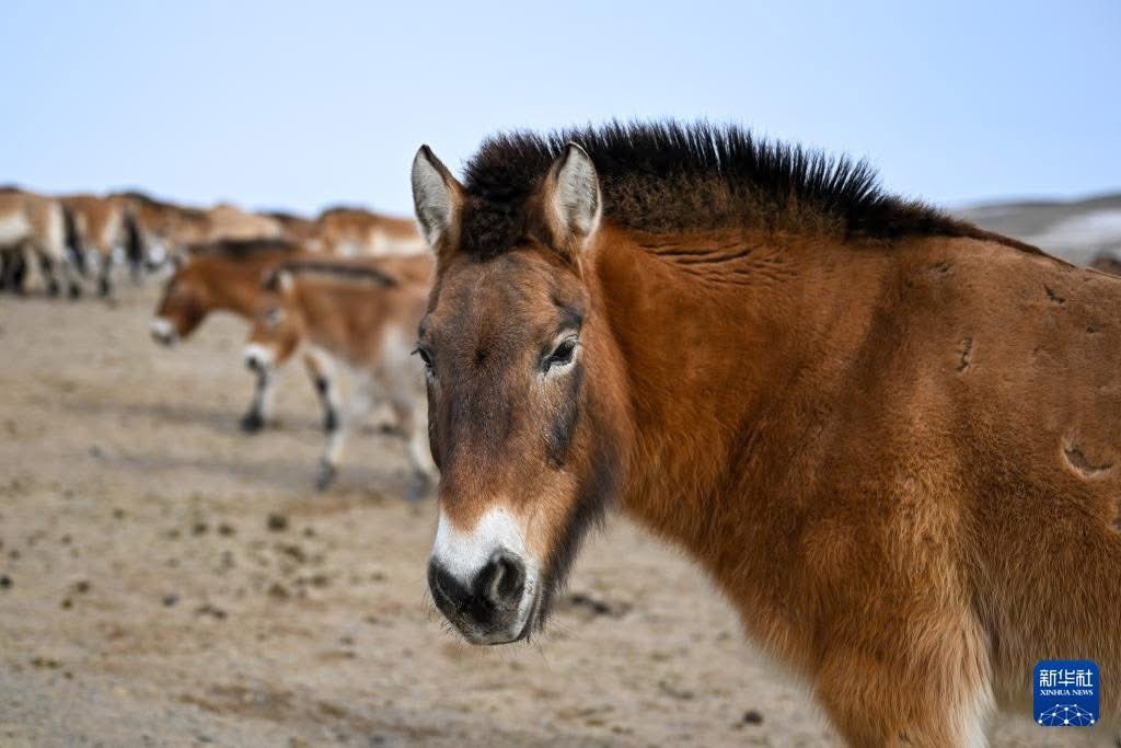 الخط الأخضر tweet media