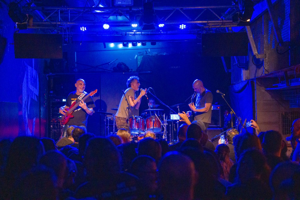 Bodega Carol tweet media