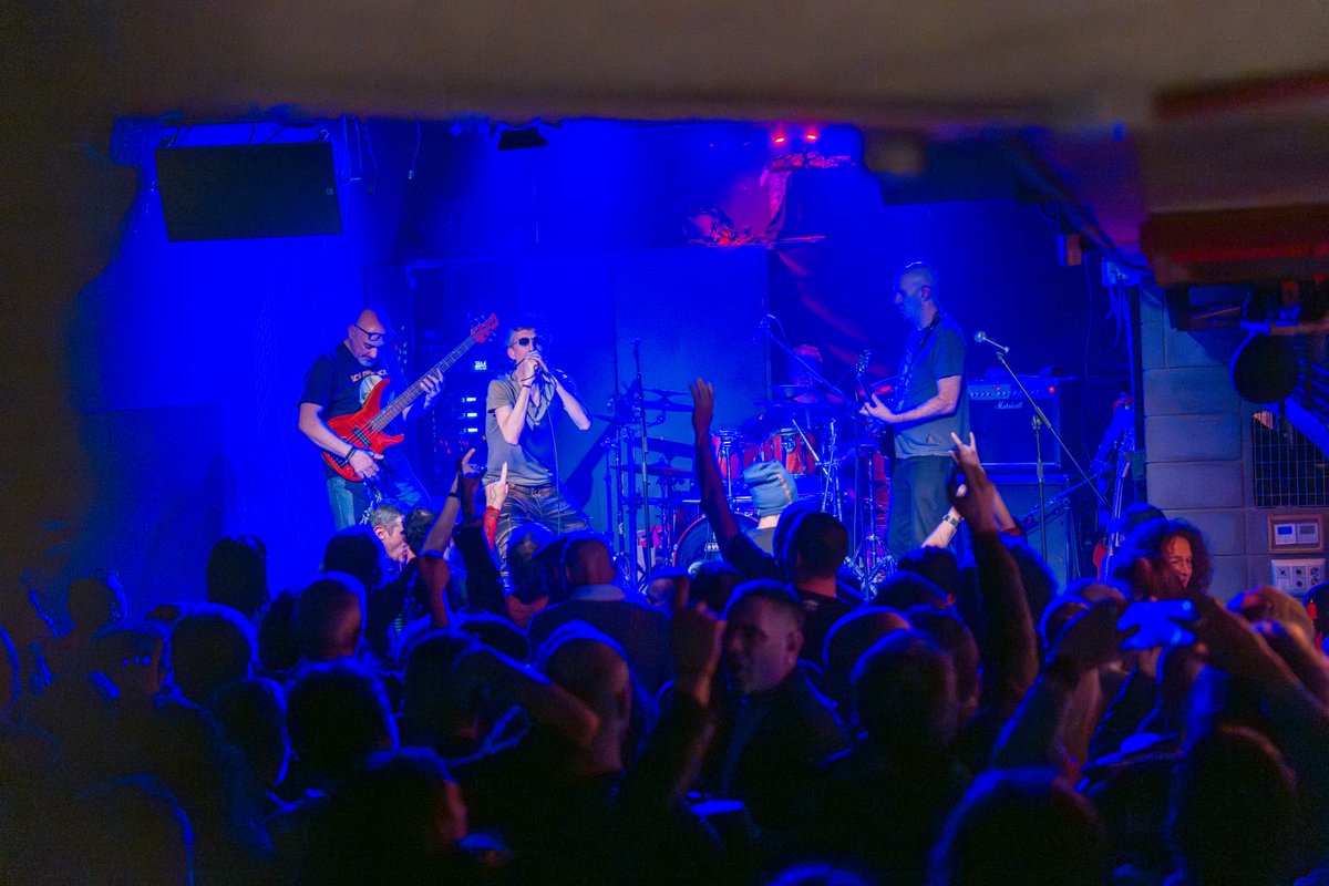 Bodega Carol tweet media