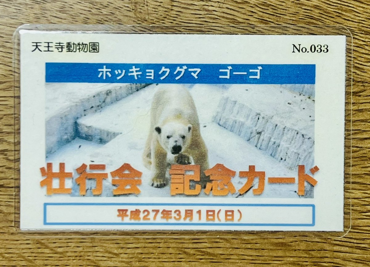 くまとねこ (@bear_87cat) / Posts / X