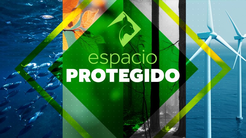 Hoy, en el programa "Espacio Protegido" <a href="/ggbiedma/">María José Gómez-Biedma</a>, de CanalSur Radio y Televisión , hablando de la importancia de contar con referentes femeninos y de la interesante propuesta de @Coamur y de Adela Romero Ruano de "El caminito de las reinas" Universidad de Sevilla.