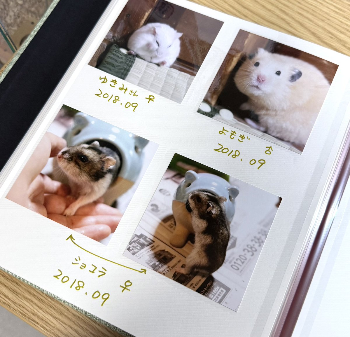 kuma (@XkumaoX) / Posts / X