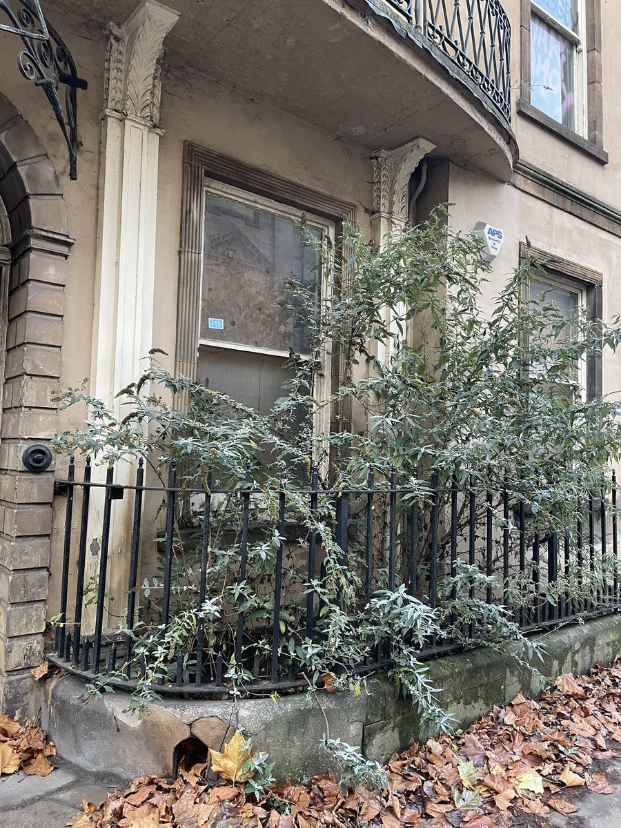 John Hess tweet media