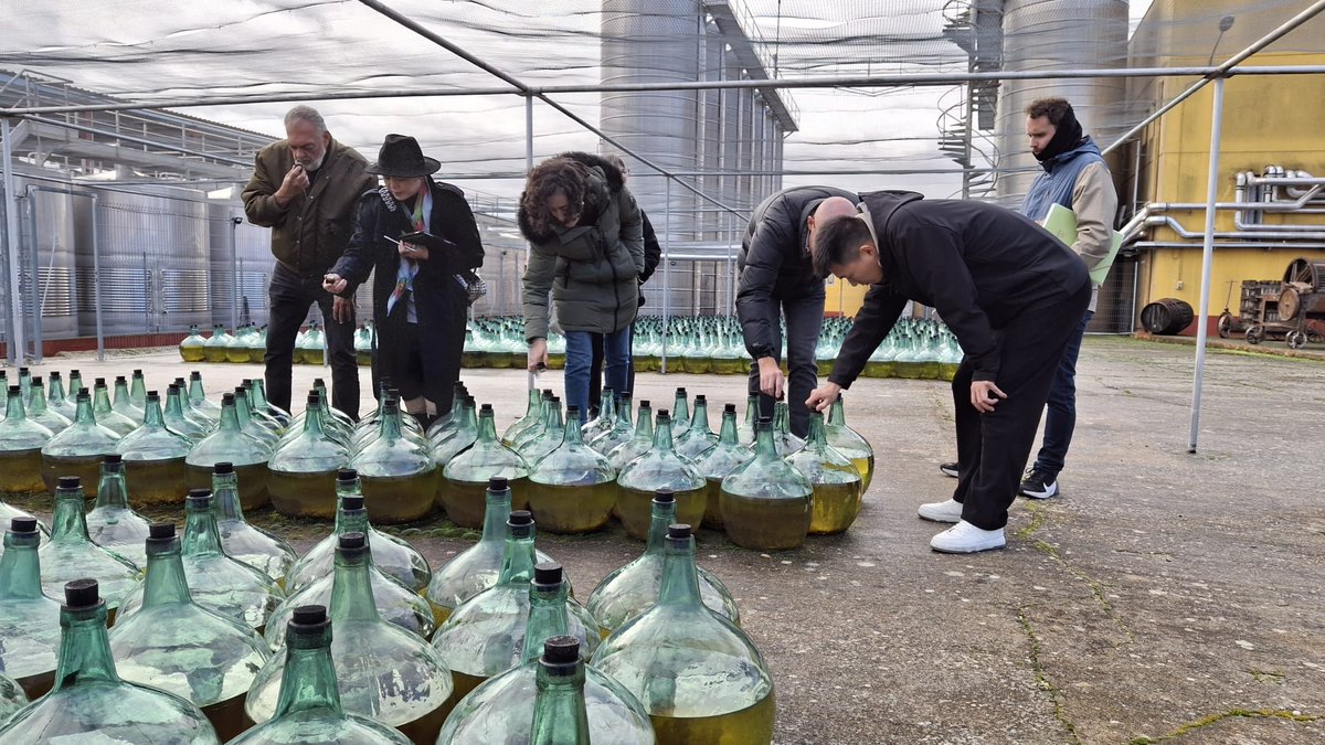 Competitividad Empresarial JCyL tweet media