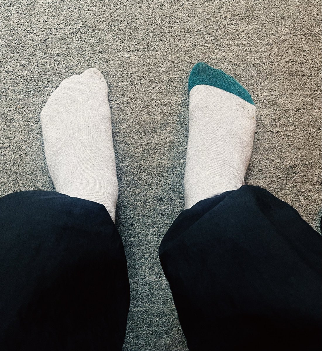 ikuzoeth's tweet photo. BREAKING: a missing sock https://t.co/kfdPJNMKQk