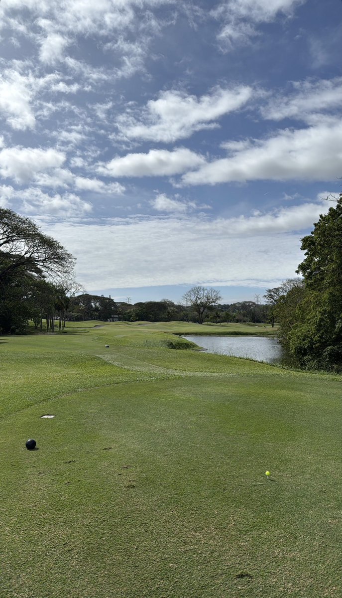 atbo archive tweet media