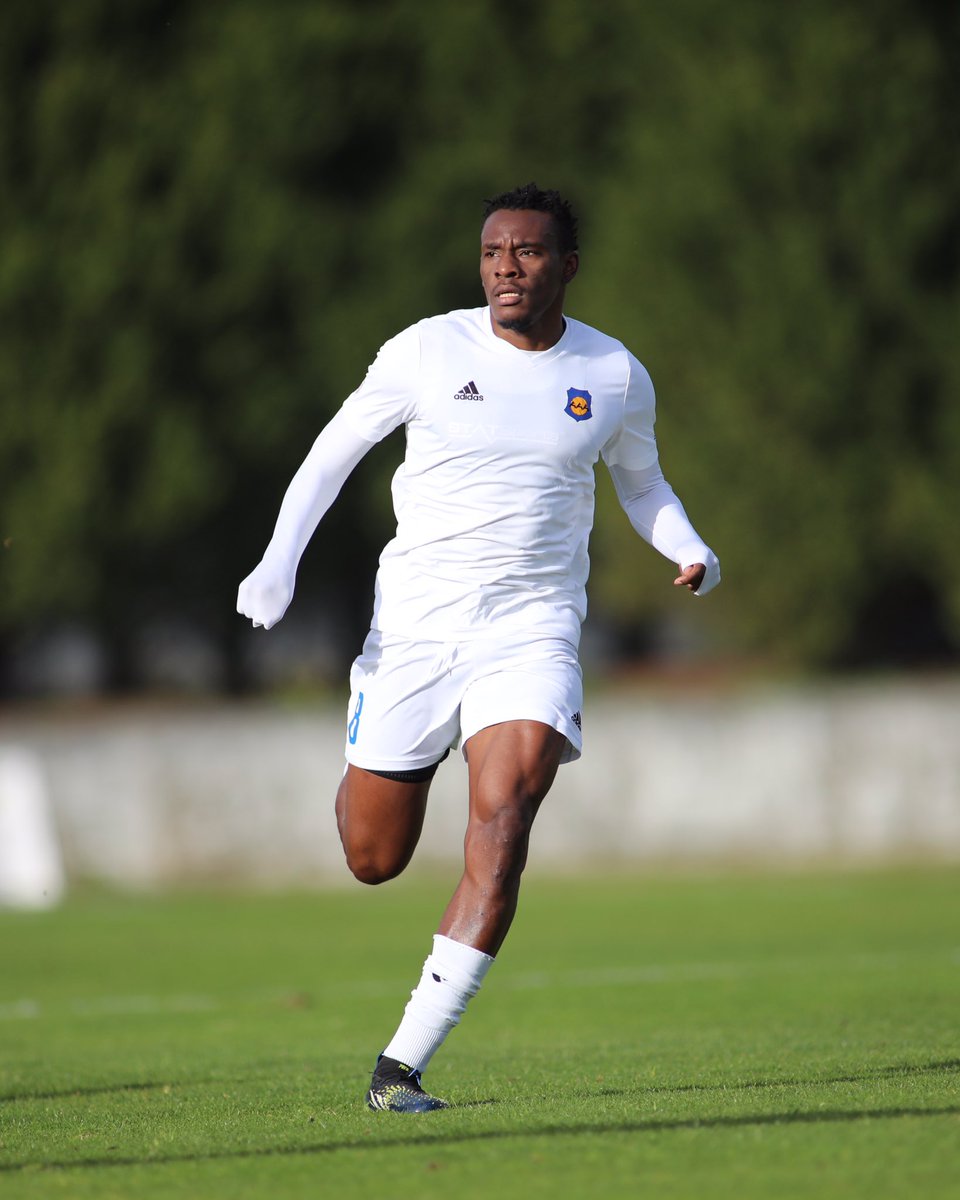 The9thmare🦁 tweet media