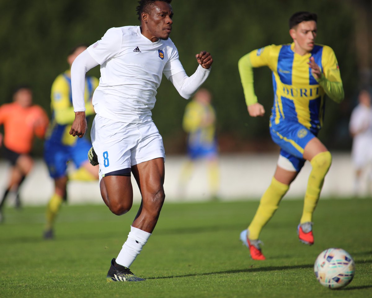 The9thmare🦁 tweet media