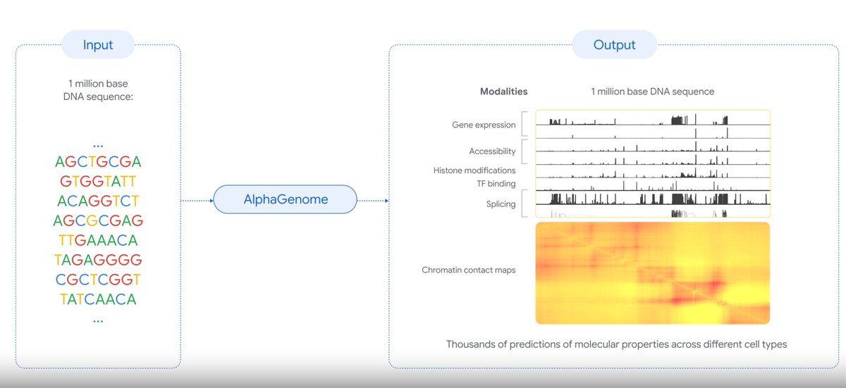 Principio de Incertidumbre tweet media
