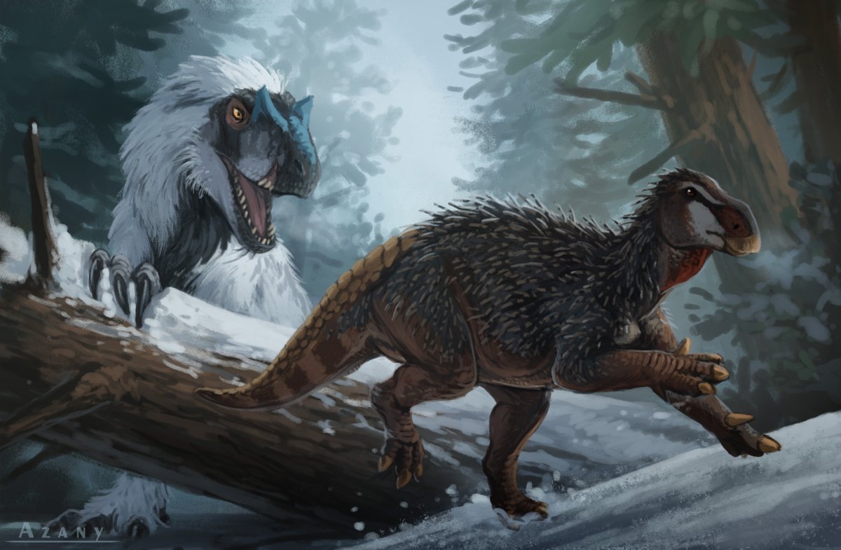 Azany (Commissions OPEN) tweet media