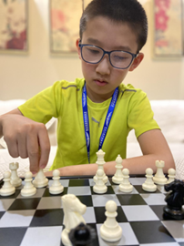 International Chess Federation tweet media