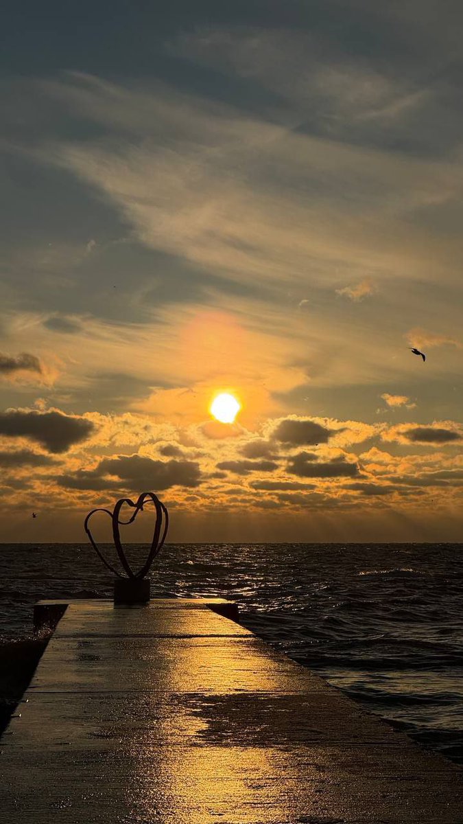 Катерина Галич tweet media