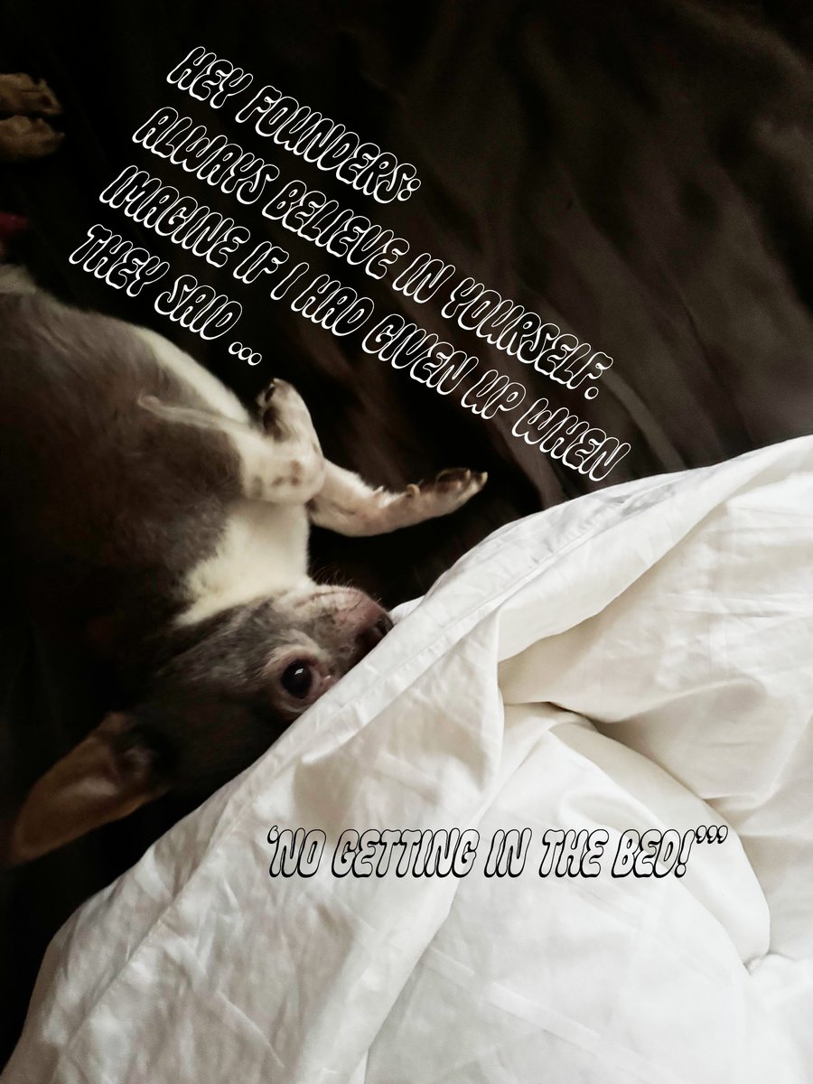 3member.me - collective event memories onchain tweet media