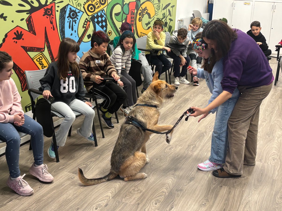 Dani Matallín tweet media