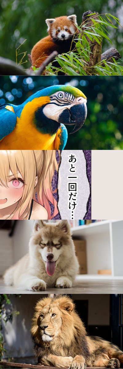 franaborar1982's tweet image. 計画通り
(1/8)