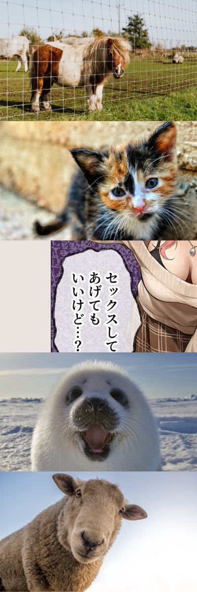 franaborar1982's tweet image. 計画通り
(1/8)