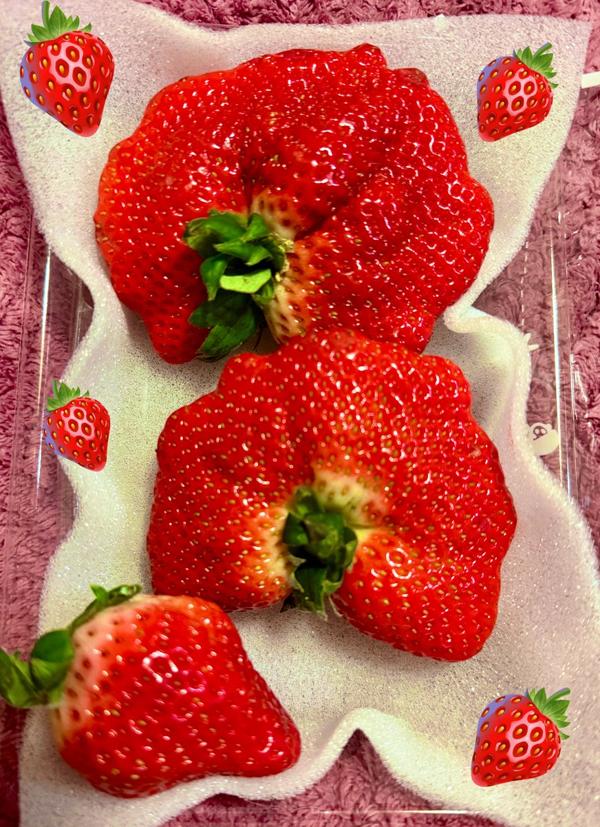 仕事帰りに 激安スーパー寄って すごい形の🍓 面白いから買ってみた