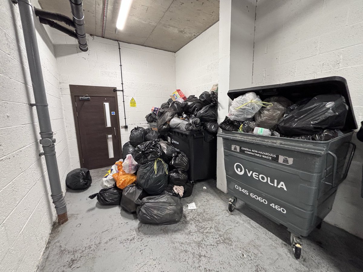 Matt Critchell tweet media