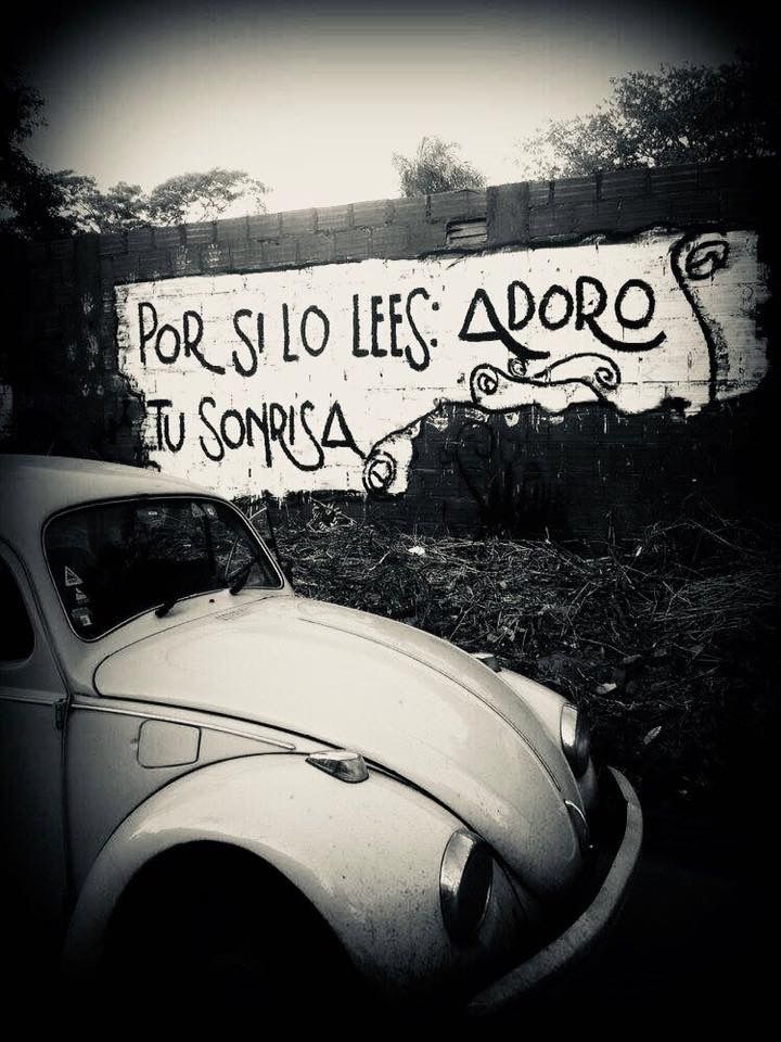 eutanasia2053's tweet photo. Buenos días pajarit@s 🤗
De lunes y sacando sonrisas ☺️
#Siente #Ama #Ríe #Llora #Abraza #Besa #Lee #Escucha #Habla #Grita
#Folla https://t.co/Ie9bwWjzSL