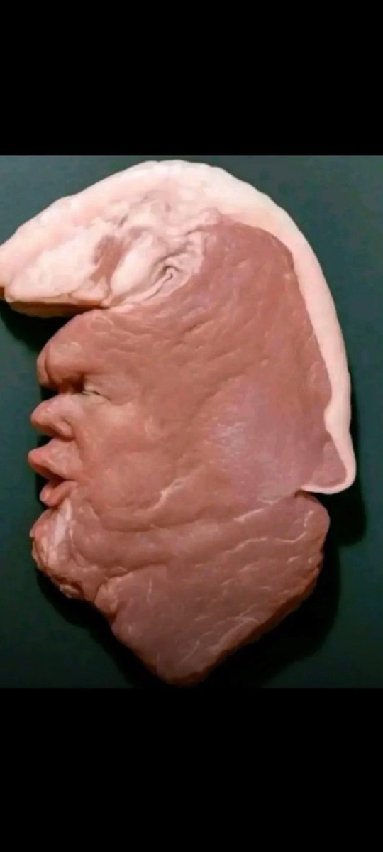 هذا آكلب واحد بالدنيا عرفه التاريخ
المعوط 😎🦦